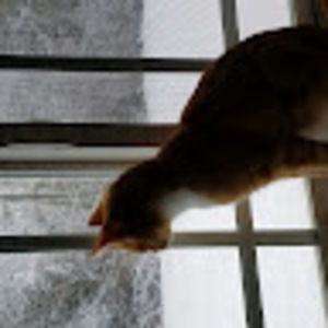 Meet your Posher, Sonja